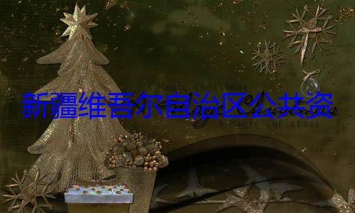 自治区公共资源交易中新疆维吾尔心副主任薛查调查建强接受审